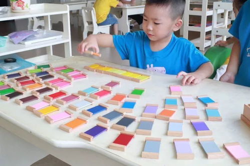 大風(fēng)車幼兒園兒童之家 兒童思維訓(xùn)練教具的探索與應(yīng)用